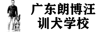 广东朗博汪训犬学校